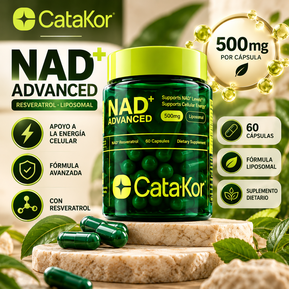 CataKor NAD+ Advanced 500 mg – Suplemento Liposomal con Resveratrol, 60 Cápsulas
