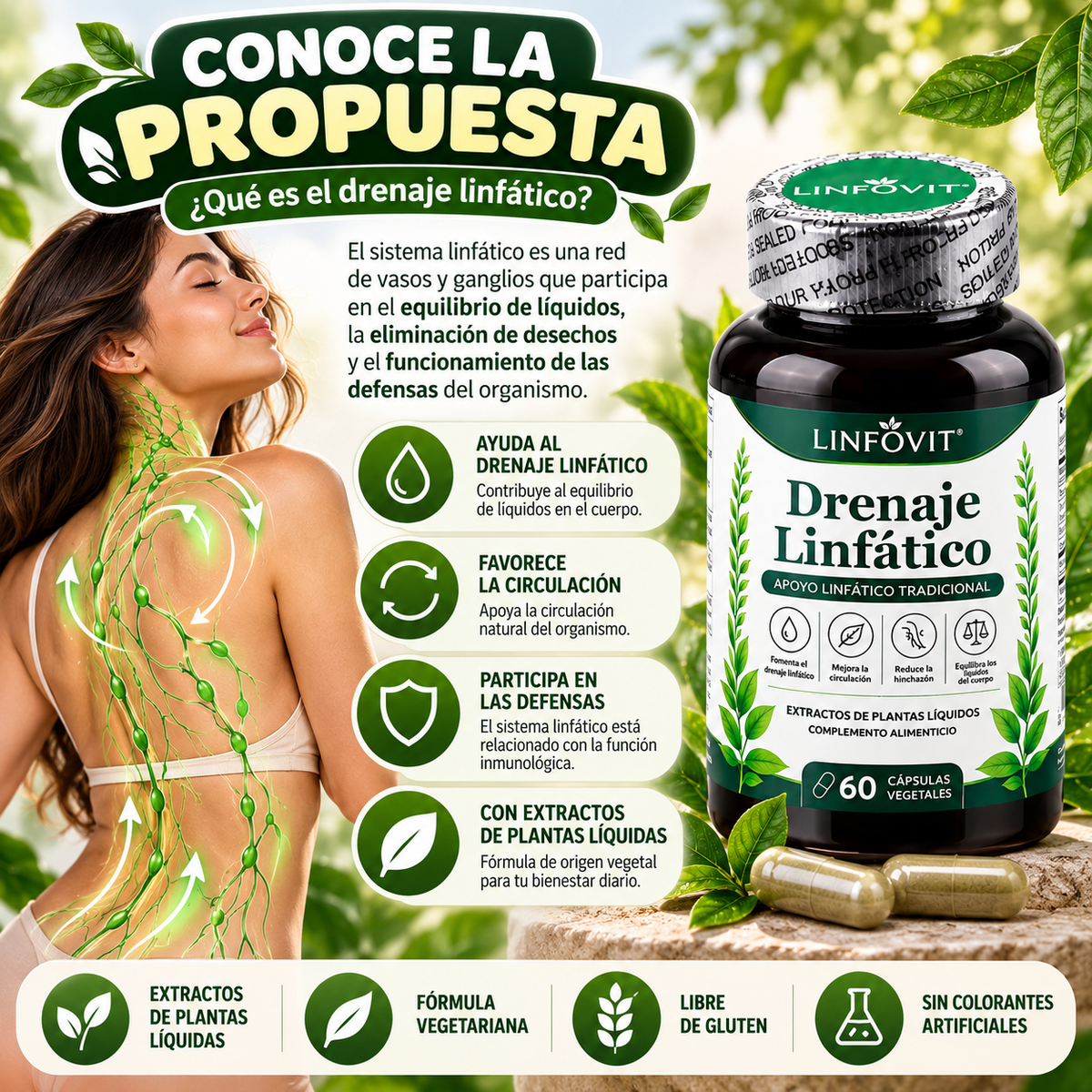 Linfovit Drenaje Linfático – 60 Cápsulas Vegetales con Extractos de Plantas