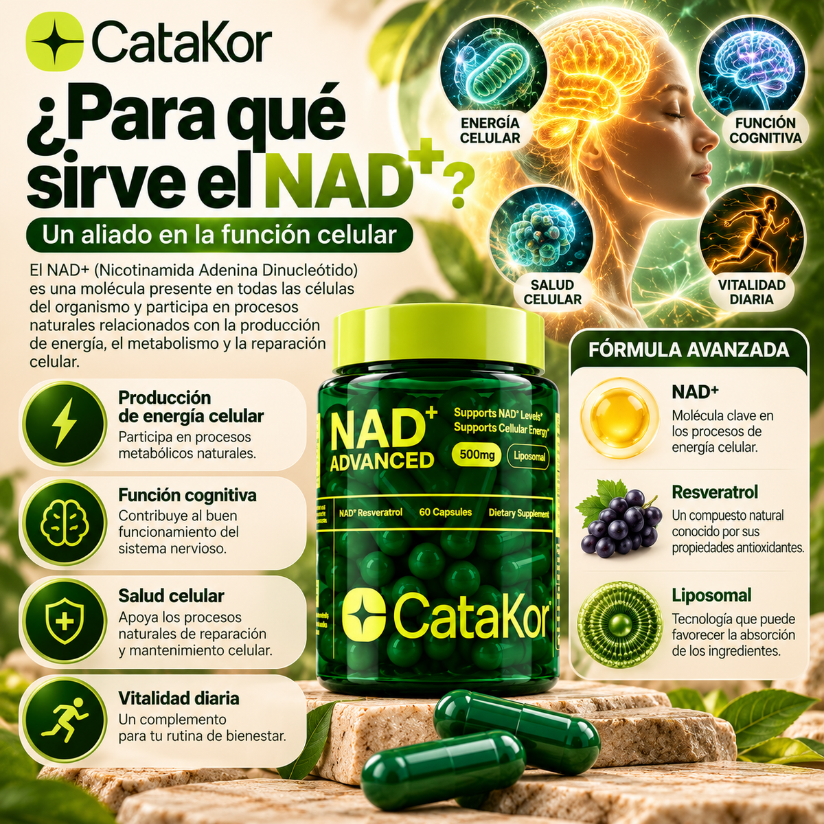 CataKor NAD+ Advanced 500 mg – Suplemento Liposomal con Resveratrol, 60 Cápsulas