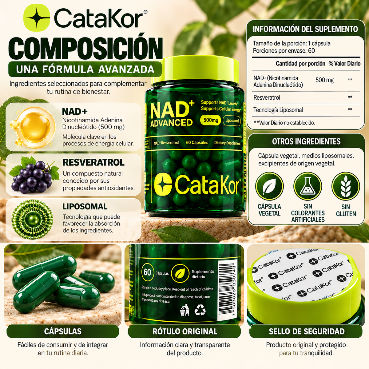 CataKor NAD+ Advanced 500 mg – Suplemento Liposomal con Resveratrol, 60 Cápsulas